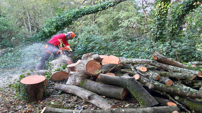 A ranger in red using a electric saw to chop up logs.